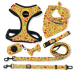 Pet Breathable Dog Harness Leash Set - Image 4