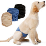 Male Dog Restraint Courtesy Belt Pet Supplie  Washable Sanitary Diapers - Image 2