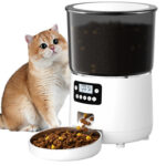 Pet 4L Smart Graffiti APP Automatic Pet Feeder - Image 3