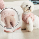 Dog Chest Strap Clothes Vest Type Warm Traction Rope - Image 3