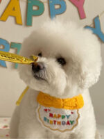 Pet Dog Fashion Special Decoration Bib Hat - Image 3