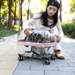 Cat Bag Pet Trolley Bag Go Out Dog Transparent - Image 3