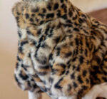 Fluffy Leopard Hairless Cat Clothes Short Plush Cat Fur - Image 5