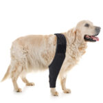 Pet Knee Pads For Joint Injury Recovery Legs Protector Dog Thigh Brace Wrap Adjustable Support Belt Post-operative Fixation - Image 8