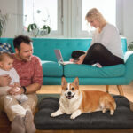 Thick And Warm Kennel Pet Nest Special Bed For Big Dogs Keeps Warm In Winter Pet Supplies - Image 5