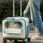 Cat Bag Going Out Pet Trolley Bag Good-looking Anti-stress Cat Backpack - Image 6