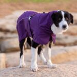 Pet Dog Cotton-padded Clothes Autumn And Winter Waterproof Warm With Velvet - Image 5