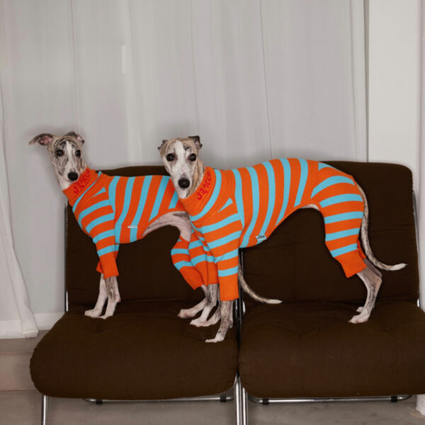 Knitted Contrast Color Stretch Four-legged Pet Clothing Pet