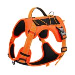 Pet Hand Holding Rope Anti Breaking Loose Dog Harness - Image 7