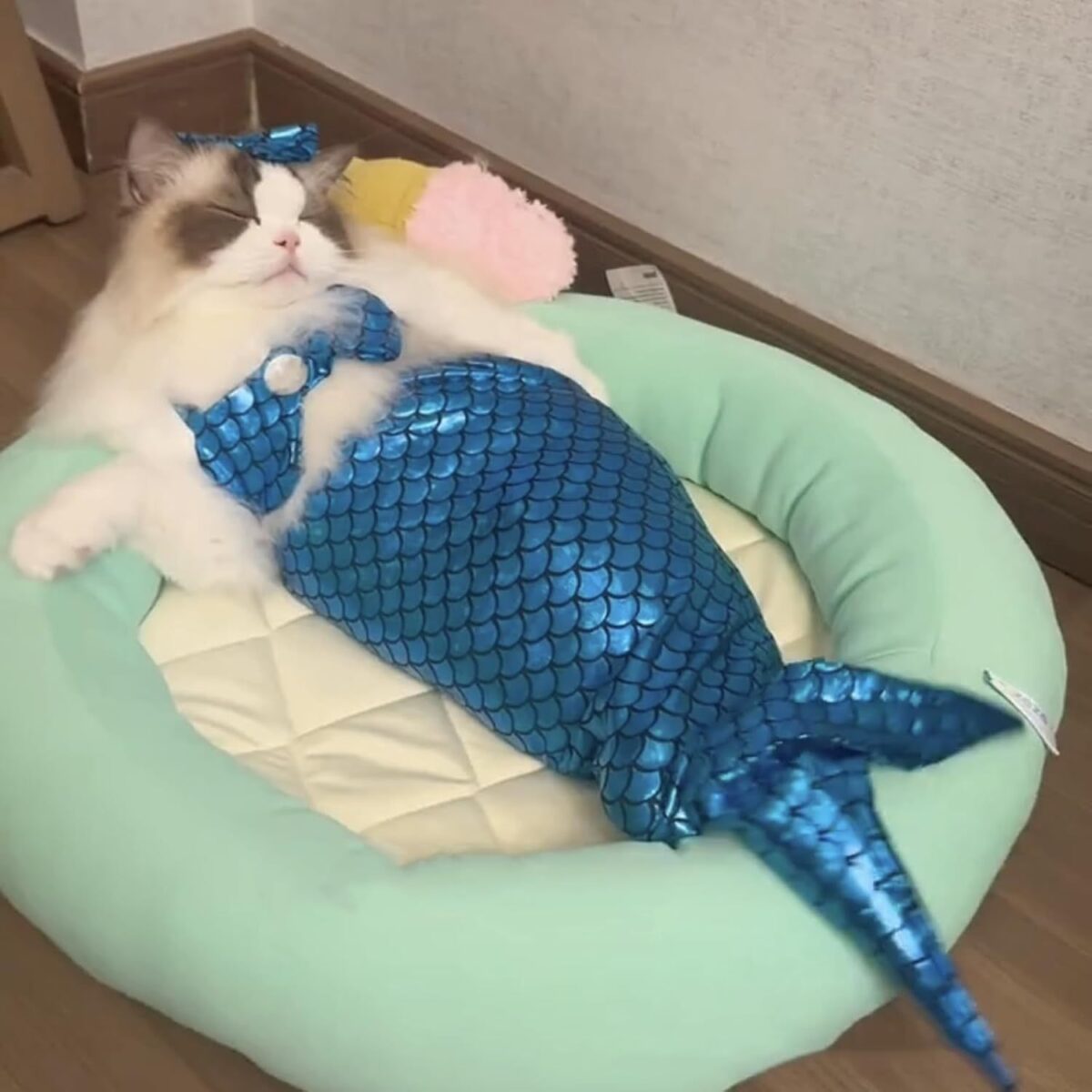 Cat Mermaid Costume Creative Cat And Dog Costumes Funny Cat Mermaid Costume Cat Mermaid Fishtail Dress Puppy Mermaid Fishtail Dress Pet Mermaid Costume Humor Funny Photo Props - Image 6