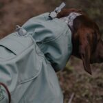 Outdoor Soft Shell Waterproof Windproof Warm Dog Soft Shell Jacket - Image 3