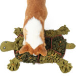 Tortoise Pet Sniffing Pad Decompression Consumes Energy Dog Toy - Image 5