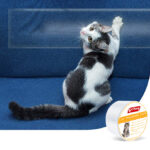 Sofa Protective Tape Pet Cat Anti-scratch Stickers Protective Furnishings - Image 3