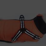 Pet Autumn And Winter New Dog Clothes Cotton-padded Clothes Warm Pet Thickened Chest And Back Integrated - Image 8