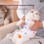 Cat Sterilization Clothing Post-operation Printing Series Four Seasons - Image 2