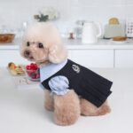Fashionable Warm Cute Teddy Dog Clothing - Image 2