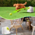 AFP Automatic Electric Tennis Machine 3196 Mini Tennis Pet Lightweight Throwing Machine Launcher - Image 6