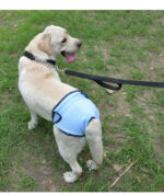 Pet Dog Simple Velcro Physiological Pants - Image 10