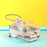 Transparent Portable Outdoor Mute Dogs And Cats Trolley Case Space Capsule - Image 4
