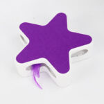 Pet Supplies Amazon Five-pointed Star Funny Cat Box - Image 4