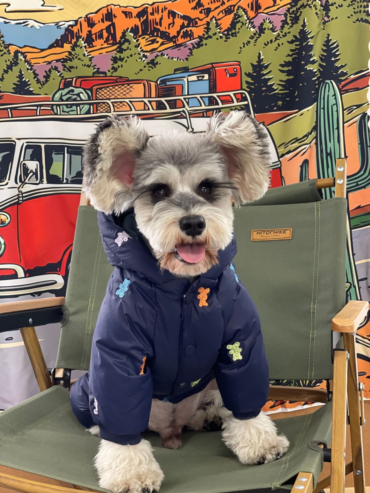 Dog Clothes Thickened Warm Teddy Schnauzer PomeranianBichon Frise Pug Hooded Pet Four Feet Down Jacket - Image 9