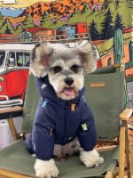 Dog Clothes Thickened Warm Teddy Schnauzer PomeranianBichon Frise Pug Hooded Pet Four Feet Down Jacket - Image 9