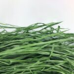 Dried Timothy FCL Hay Snacks Feed Chinchilla Guinea Pig Food Rabbits Pet Products - Image 5