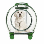 Pet Trolley Bag Portable Dog Out Transparent Trolley Bag Space Capsule - Image 4