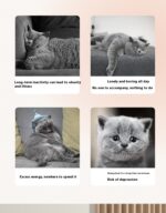 Cat's Paw Laser Toys Intelligent Interaction Three Modes Relieving Stuffy Artifact - Image 9