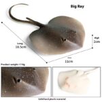 Simulation Marine Animal Model Children's Cognitive Toy - Image 7