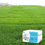 Dried Timothy FCL Hay Snacks Feed Chinchilla Guinea Pig Food Rabbits Pet Products - Image 6