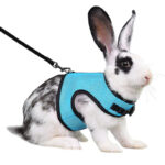 Guinea Pig Rabbit Rope Minipet Traction Vest Chest Back - Image 9