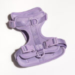 Harness Vest Morandi Large And Small Dogs Walking Outdoors - Image 4
