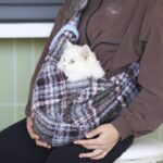 Portable Anti-stress Pet Crossbody Backpack - Image 3