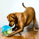 Dog Toy Relieving Stuffy Artifact Sound Puzzle - Image 2