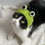 Pig Bajie Cat Head Cover Cute - Image 4