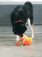 Snail Powder Small Hot Pot Pet Educational Sniffing Toy - Image 7