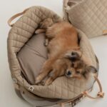 Car Removable New Nylon Waterproof Pet Bag - Image 2
