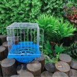 Small Parrot Breeding Box Bird Nest
