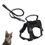 Cat Chest Strap Vest Hand Holding Rope - Image 10