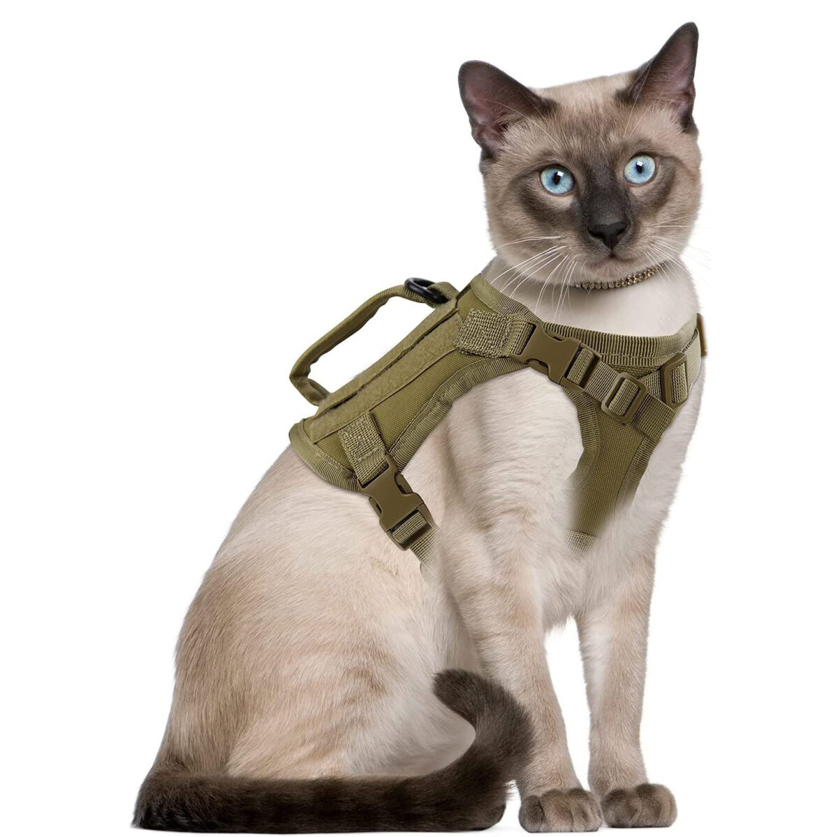 Cat Chest Strap Vest Hand Holding Rope - Image 8