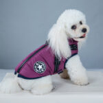 Pet Clothes Waterproof And Warm - Image 5
