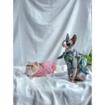 Cat Clothes Summer Thin Floral Dress Sphinx Hairless - Image 4