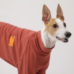 Waffle High Collar Sweater Special Dog Breed - Image 5