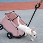 Pet Stroller Dog Cat Trolley Out Small Pet Cart Portable Foldable Storage Car - Image 2