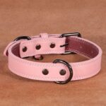Medium Bell Anti-lost Pet Collar - Image 9