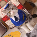 Fashion Personalized Pet Fighter Clothing Neck - Image 4