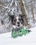 New Autumn And Winter Quilted Snow Warm Waterproof Large Dog Cotton Jacket Coat Jacket - Image 8