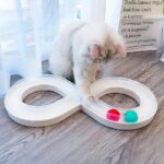 Cat Toys Self Hi To Relieve Boredom Cat Turntable Track Ball Kitten Teasing Cat Stick Pet Cat Consumption - Image 4