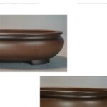 Creative Individual Porcelain Indoor Desktop Purple Sand Flowerpot - Image 4